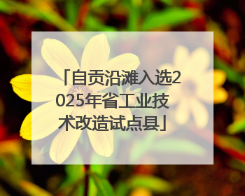 自贡沿滩入选2025年省工业技术改造试点县