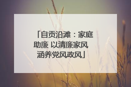 自贡沿滩：家庭助廉 以清廉家风涵养党风政风