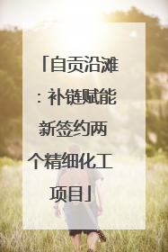 自贡沿滩：补链赋能 新签约两个精细化工项目