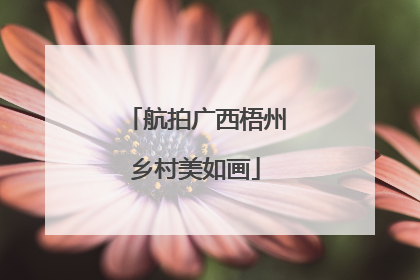 航拍广西梧州乡村美如画