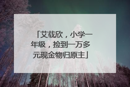 艾载欣，小学一年级，捡到一万多元现金物归原主