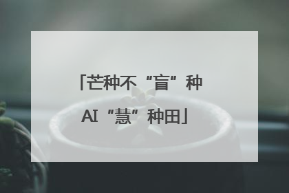 芒种不“盲”种 AI“慧”种田