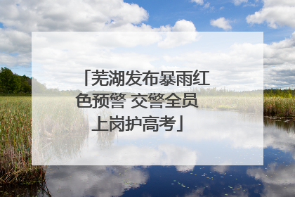 芜湖发布暴雨红色预警 交警全员上岗护高考