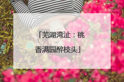 芜湖湾沚：桃香满园醉枝头