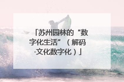 苏州园林的“数字化生活”（解码·文化数字化）