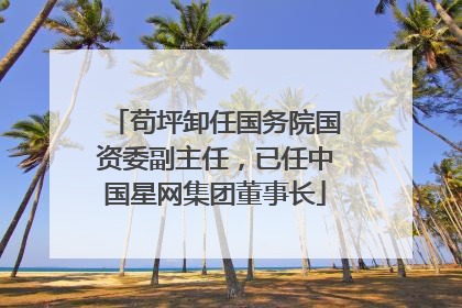 苟坪卸任国务院国资委副主任，已任中国星网集团董事长