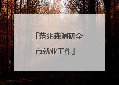 范兆森调研全市就业工作