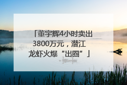 董宇辉4小时卖出3800万元，潜江龙虾火爆“出圈”