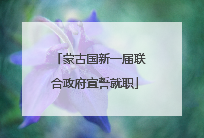 蒙古国新一届联合政府宣誓就职