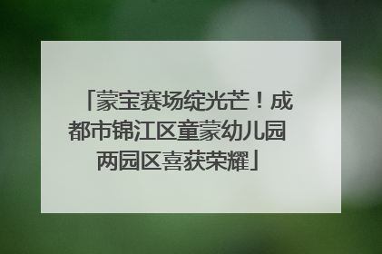 蒙宝赛场绽光芒！成都市锦江区童蒙幼儿园两园区喜获荣耀