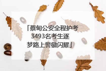 蔡甸公安全程护考 3493名考生逐梦路上警徽闪耀