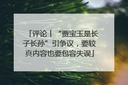 评论丨“贾宝玉是长子长孙”引争议，要较真内容也要包容失误