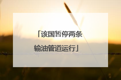 该国暂停两条输油管道运行