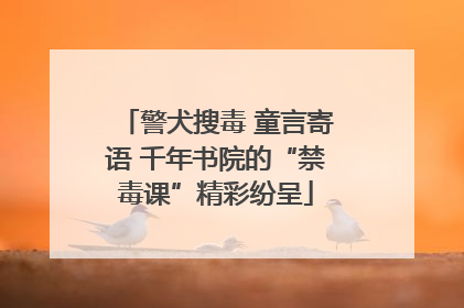 警犬搜毒 童言寄语 千年书院的“禁毒课”精彩纷呈
