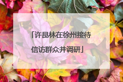 许昆林在徐州接待信访群众并调研
