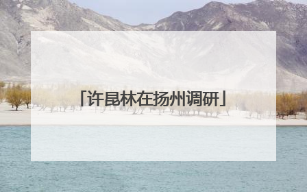 许昆林在扬州调研