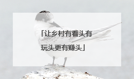 让乡村有看头有玩头更有赚头