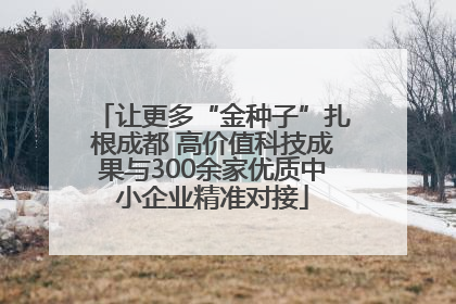 让更多“金种子”扎根成都 高价值科技成果与300余家优质中小企业精准对接