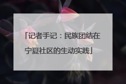 记者手记：民族团结在宁夏社区的生动实践