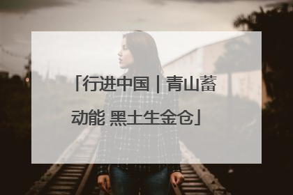 行进中国｜青山蓄动能 黑土生金仓