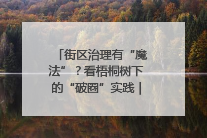 街区治理有“魔法”？看梧桐树下的“破圈”实践｜我在街区当书记