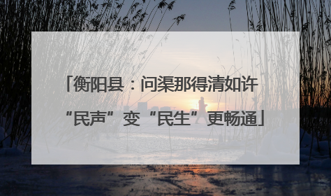 衡阳县：问渠那得清如许 “民声”变“民生”更畅通