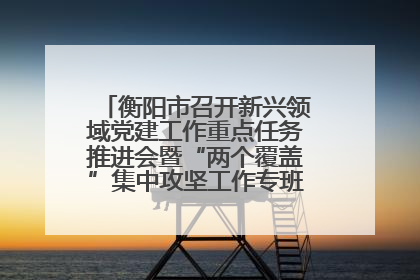 衡阳市召开新兴领域党建工作重点任务推进会暨“两个覆盖”集中攻坚工作专班 第一次会议