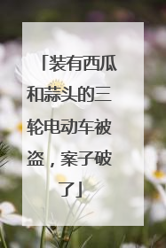 装有西瓜和蒜头的三轮电动车被盗，案子破了