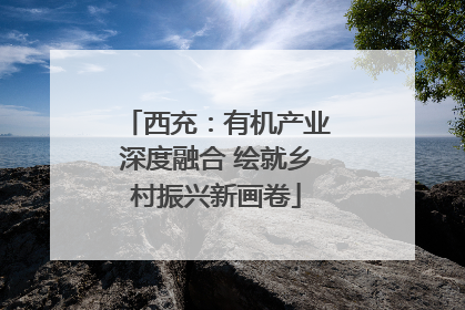 西充：有机产业深度融合 绘就乡村振兴新画卷
