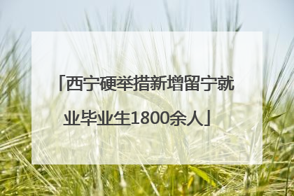 西宁硬举措新增留宁就业毕业生1800余人