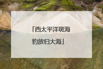 西太平洋斑海豹放归大海