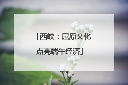 西峡：屈原文化点亮端午经济