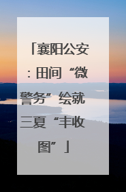 襄阳公安：田间“微警务”绘就三夏“丰收图”