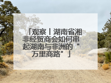 观察丨湖南省湘非经贸商会如何串起湖南与非洲的“万里商路”