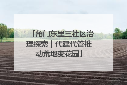 角门东里三社区治理探索｜代建代管推动荒地变花园