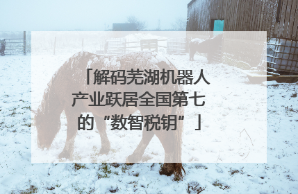 解码芜湖机器人产业跃居全国第七的“数智税钥”