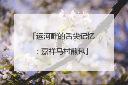 运河畔的舌尖记忆：嘉祥马村煎包