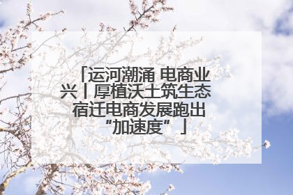 运河潮涌 电商业兴丨厚植沃土筑生态 宿迁电商发展跑出“加速度”