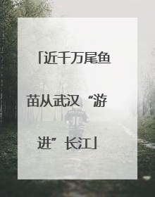 近千万尾鱼苗从武汉“游进”长江