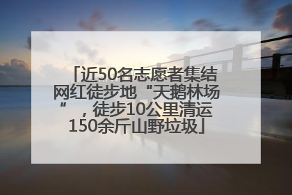 近50名志愿者集结网红徒步地“天鹅林场”，徒步10公里清运150余斤山野垃圾
