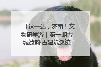 这一站，济南！文物研学游｜第一期古城遗韵·古建筑巡迹之旅圆满结束