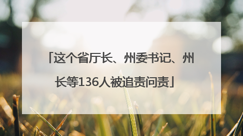 这个省厅长、州委书记、州长等136人被追责问责
