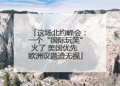 这场北约峰会：一个“国际玩笑”火了 美国优先 欧洲议题遭无视