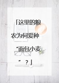 这里的粮农为何爱种“面包小麦”？