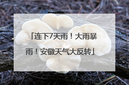 连下7天雨！大雨暴雨！安徽天气大反转