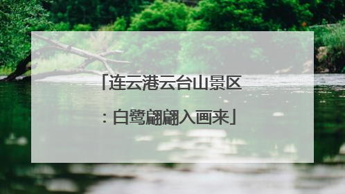 连云港云台山景区：白鹭翩翩入画来