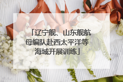辽宁舰、山东舰航母编队赴西太平洋等海域开展训练