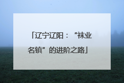 辽宁辽阳：“袜业名镇”的进阶之路