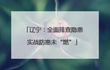 辽宁：全面排查隐患 实战防患未“燃”