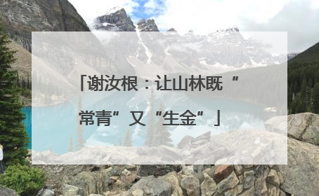 谢汝根：让山林既“常青”又“生金”